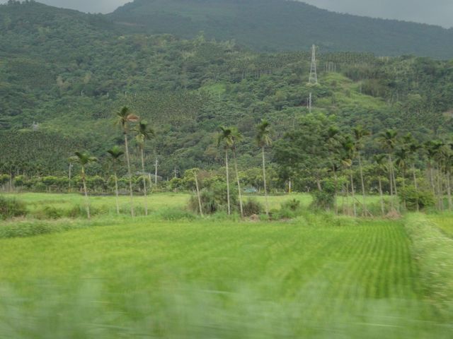 沿線風景